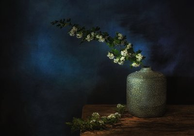  af Saskia Dingemans
