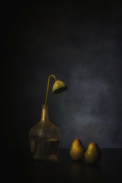  af Saskia Dingemans