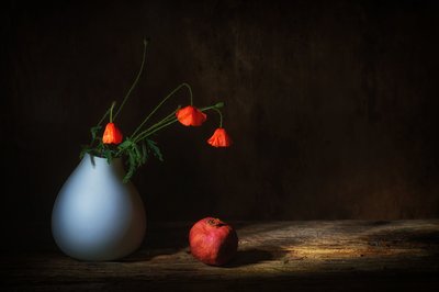  af Saskia Dingemans
