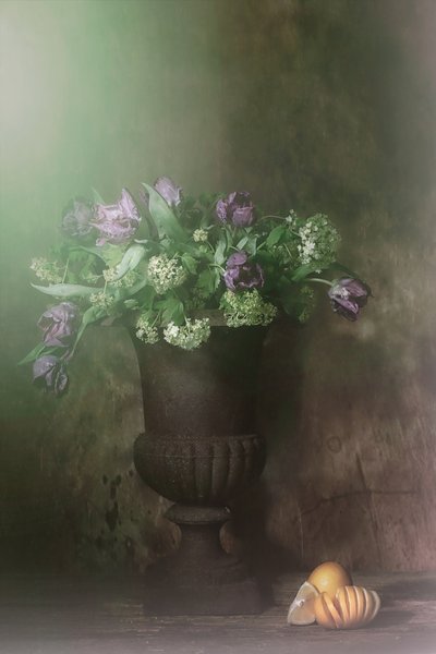  af Saskia Dingemans