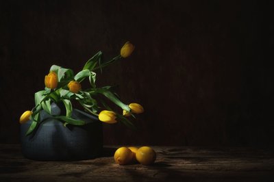  af Saskia Dingemans