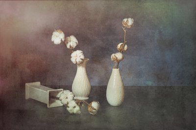  af Saskia Dingemans