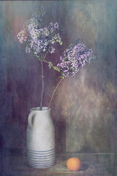  af Saskia Dingemans