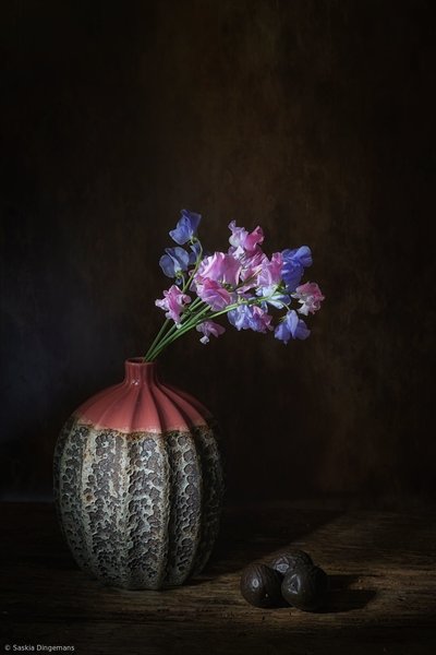  af Saskia Dingemans