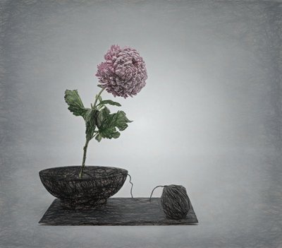  af Saskia Dingemans