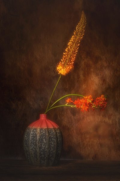  af Saskia Dingemans