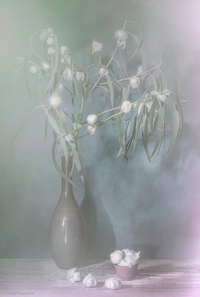  af Saskia Dingemans