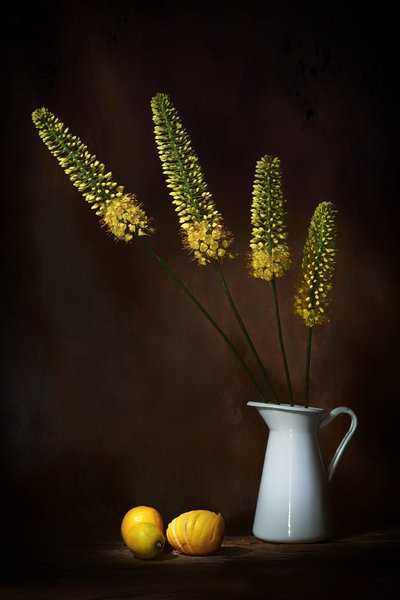  af Saskia Dingemans