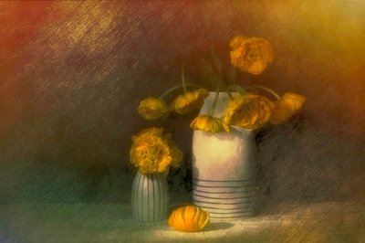  af Saskia Dingemans