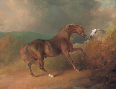 Oberst Thorntons Jupiter, af Eclipse out of a Mare by Tartar, ved et hegn, med en grå hoppe, ved Thornville Royal, 1792 af Sawrey Gilpin