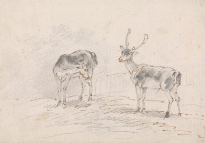 Doe og Buck af Sawrey Gilpin