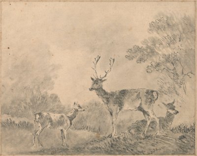 Dådyr: Hjorte, Doe og Fawn i en lysning af Sawrey Gilpin