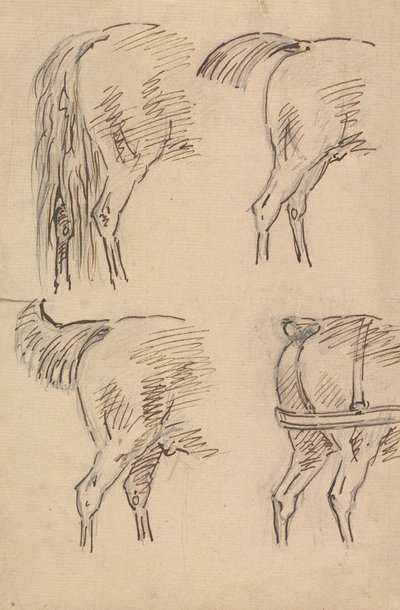 Fire Skitser af Hind Quarters of Horse af Sawrey Gilpin