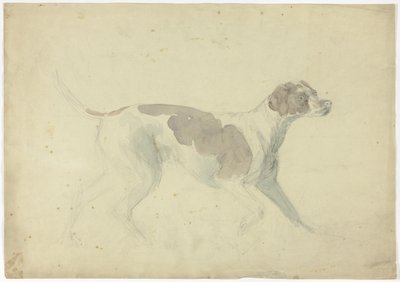 Rævehund (recto); Skitser af hest og rytter (verso) af Sawrey Gilpin
