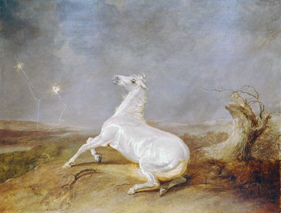 Gal Hest af Sawrey Gilpin