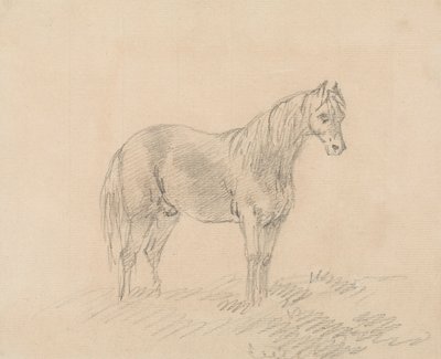 Mand Hest af Sawrey Gilpin