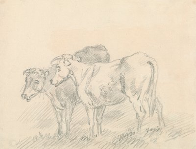To køer af Sawrey Gilpin