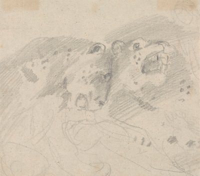 To Leoparder af Sawrey Gilpin