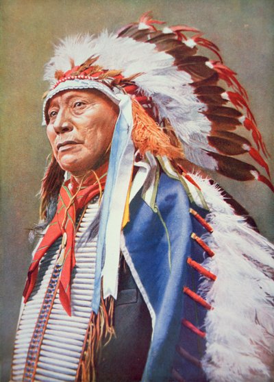 Chief Hollow Horn Bear (1850-1913) (farve litho) af School American