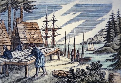 Fiskere, der tørrer torsk i New England, fra et træsnit fra det 17. århundrede (farve litho) af School American