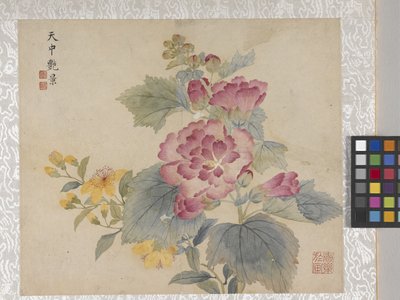 8-bladet blomsteralbum, midten af 1700-tallet (blæk og farve på papir) af School Chinese