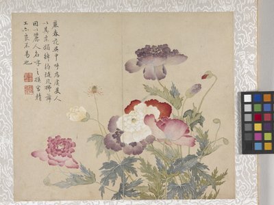 8-bladet blomsteralbum, midten af 1700-tallet (blæk og farve på papir) af School Chinese