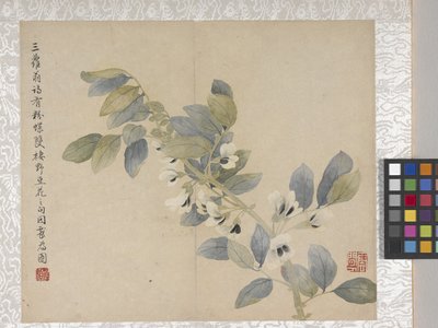 8-bladet blomsteralbum, midten af 1700-tallet (blæk og farve på papir) af School Chinese