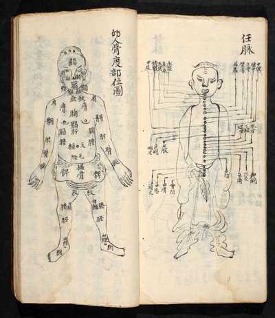 Akupunkturpunkter langs kroppens centrale linje, fra Jing Guan Qi Zhi, 
