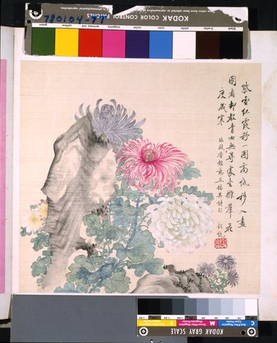 Album Of Flowers And Birds, ukendt dato (blæk og farve på silke) af School Chinese