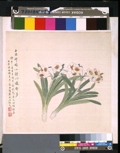 Album Of Flowers And Birds, ukendt dato (blæk og farve på silke) af School Chinese