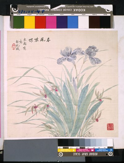 Album Of Flowers And Birds, ukendt dato (blæk og farve på silke) af School Chinese