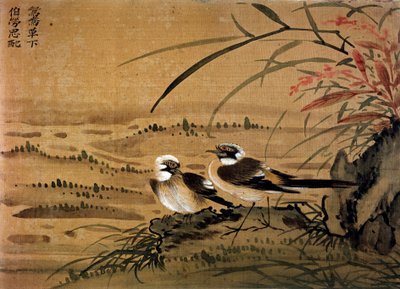 Kunst Kina: Fugle. Silkemaleri af Li youen kien fra det 16. århundrede. Paris, BN af School Chinese