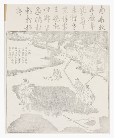 Afflagning af risene af School Chinese