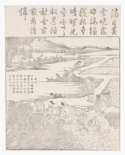 Høst ris af School Chinese