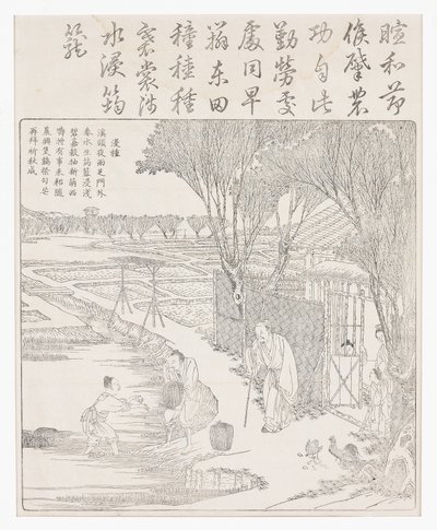 Placer frø ris i vand for at hjælpe spiring. af School Chinese