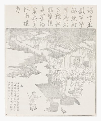 Sigtning af risene af School Chinese