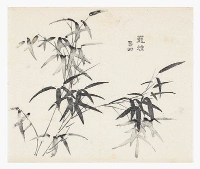 Ti Bamboo Series af School Chinese