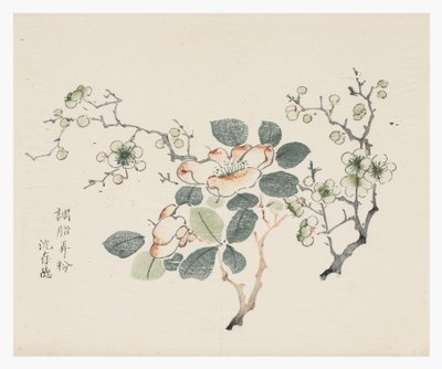 Ti Bamboo Series af School Chinese