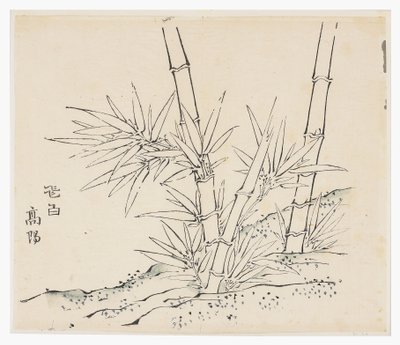 Ti Bamboo Series af School Chinese