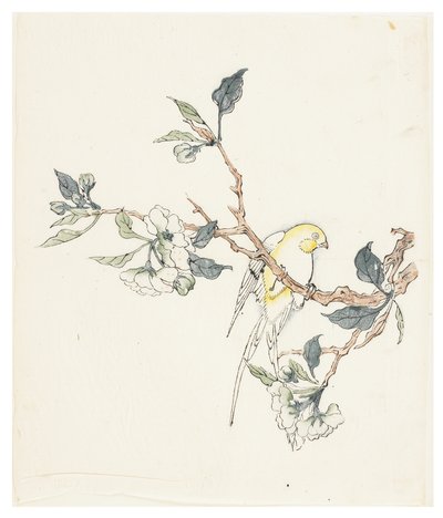 Ti Bamboo Series af School Chinese
