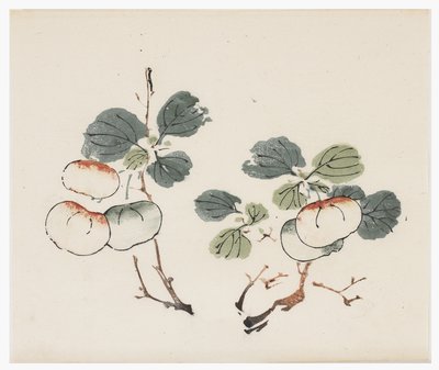 Ten Bamboo-serien af School Chinese