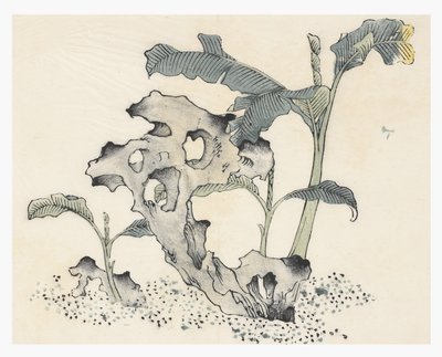 Ten Bamboo-serien af School Chinese