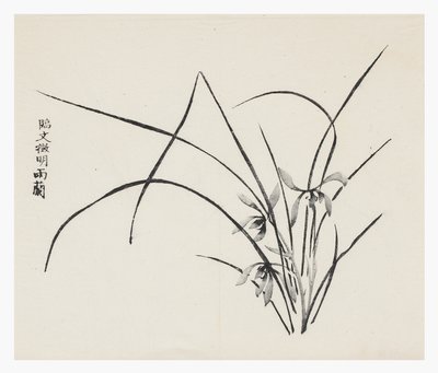 Ti Bamboo Series af School Chinese