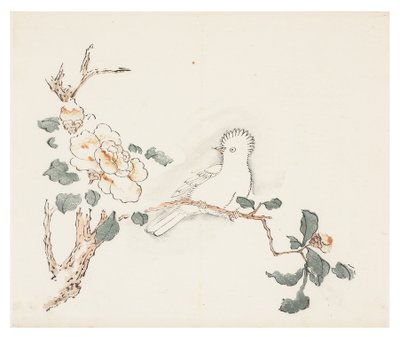 Ti Bamboo Series af School Chinese