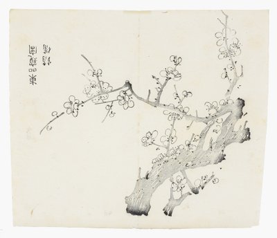 Ti Bamboo Series af School Chinese