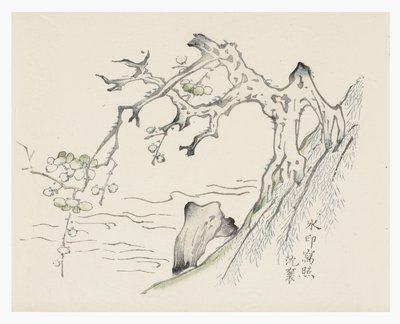 Ti Bamboo Series af School Chinese