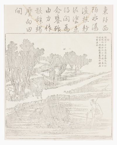 Bearbejdning af rismarker i tørt vejr af School Chinese