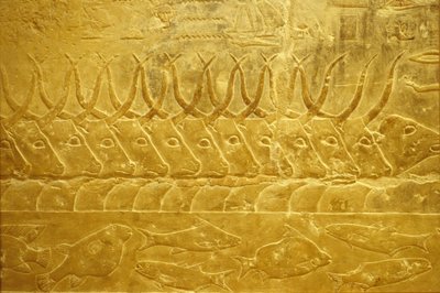 Det gamle Egypten, Vægudskæring/-maleri, Idouts mastaba/grav, Saqqara, 2323-2150 f.Kr., Kvæg på vej gennem en flod (foto) af School Egyptian