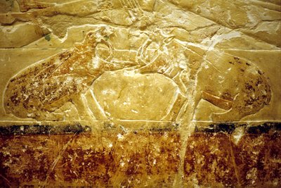 Det gamle Egypten, Vægudskæring/-maleri, Idouts mastaba/grav, Saqqara, 6. dynasti, To flodheste i kamp (foto) af School Egyptian