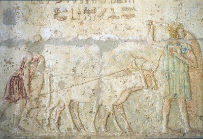 Det gamle Egypten, Vægmaleri, Petosiris